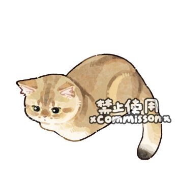 Post 13130243