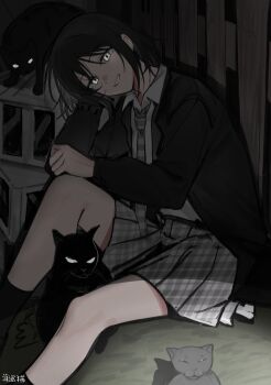 Post 14177022