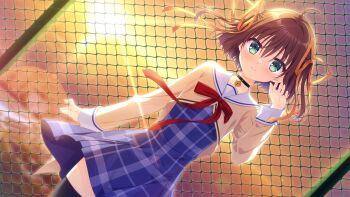 Post 15037266