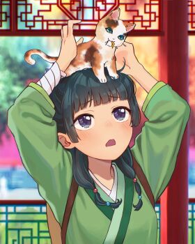 Post 11902093