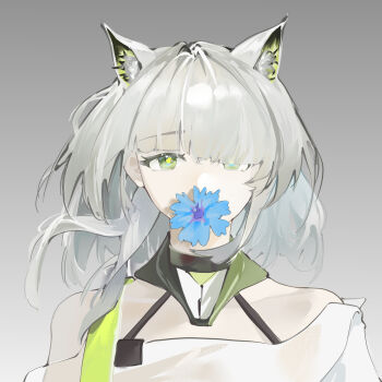 Post 14903129