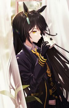 Post 9799240