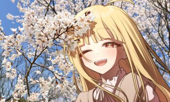 Post 13871601
