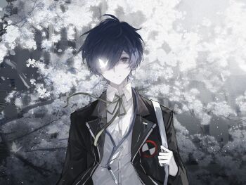 Post 14822643