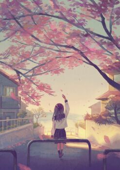 Post 12184572