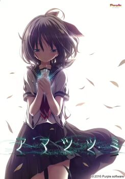 Post 12323787