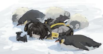Post 13403956