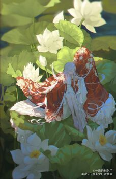 Post 11810064