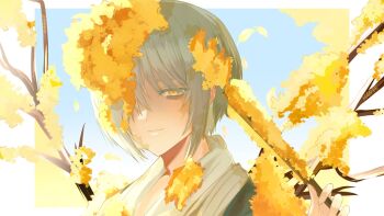 Post 13737049