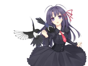 Post 13810450