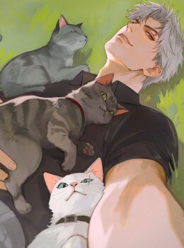 Post 14216538