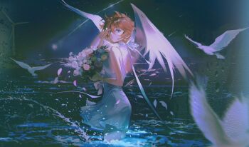 Post 14881655