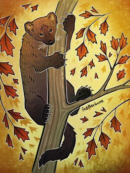 Post 14938921