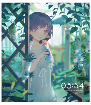 Post 10772558