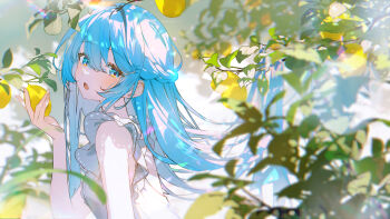 Post 14809507