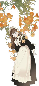 Post 14661619