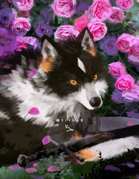 Post 14316285