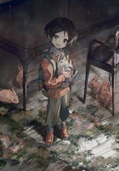 Post 7294806