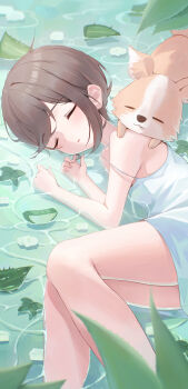 Post 14996320