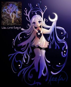 Post 13500438