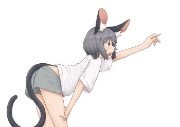 Post 12032179
