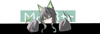 Post 14578256