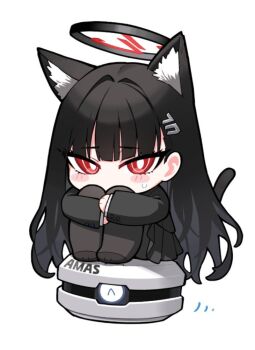 Post 11360955