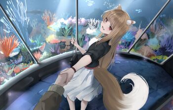 Post 13363807