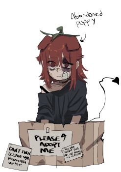 Post 14506503