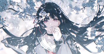 Post 13810068