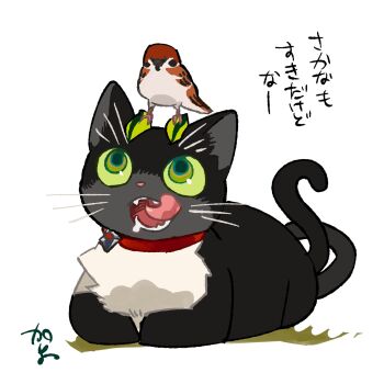 Post 10084649