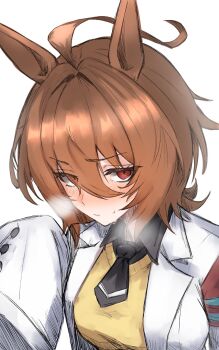 Post 14126969