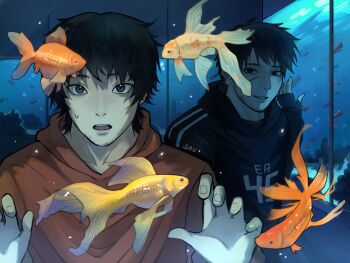 Post 14786116