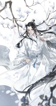 Post 13445164