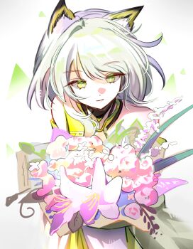 Post 15004261