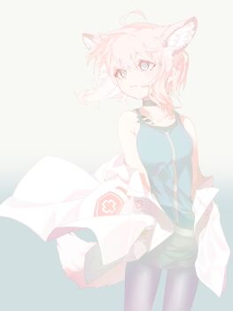 Post 14968226