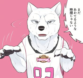 Post 10688022