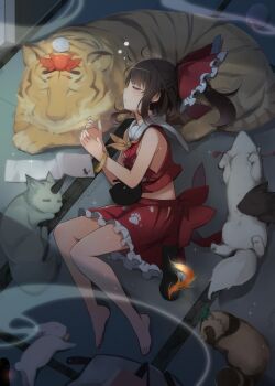 Post 4881897