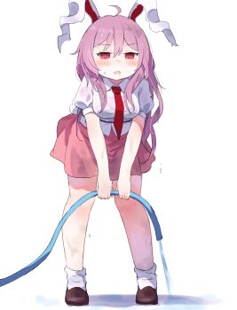 Post 14585124