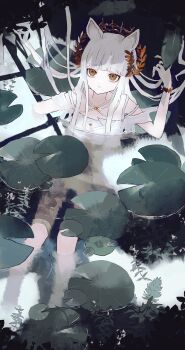 Post 14680124