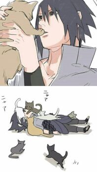 Post 10876434
