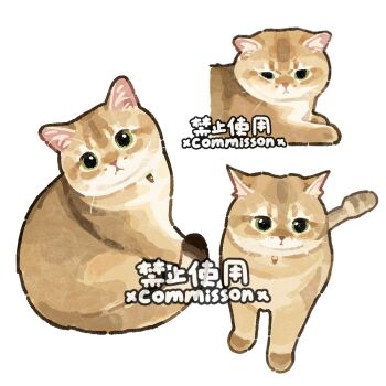Post 13130177