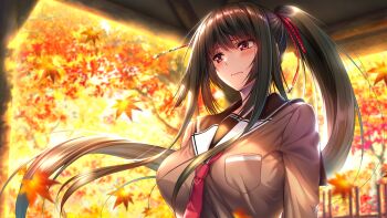 Post 14105762