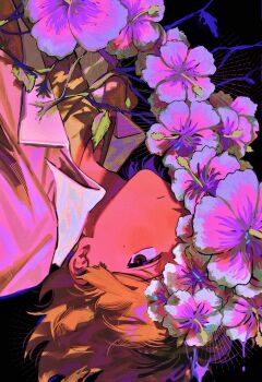 Post 12591025
