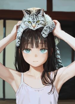 Post 14732527