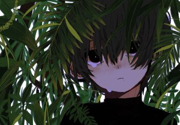 Post 12436702