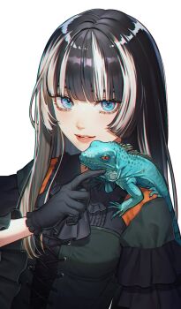 Post 10478170