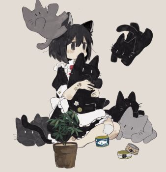 Post 11538661