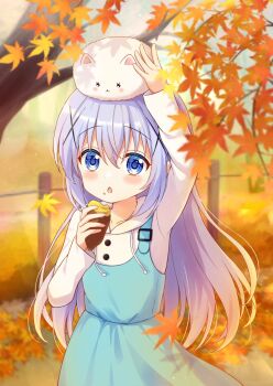 Post 15019477