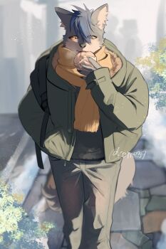 Post 11884111
